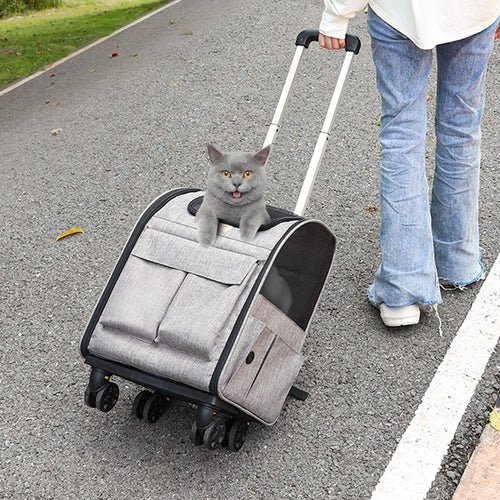 Cat Carrier with Wheels, Rolling Pet Carrier with Telescopic Handle - Magazin online